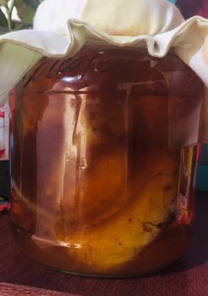 Una foto de Kombucha: bebida fermentada