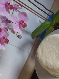 Una foto de Queso fresco