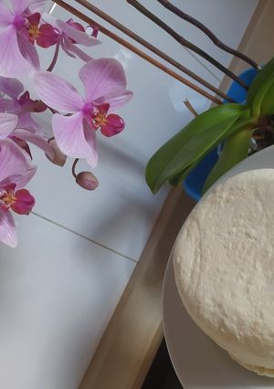 Una foto de Queso fresco