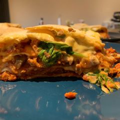 A picture of Giant stuffed vegan tortillas.
