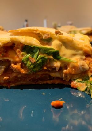 A picture of Giant stuffed vegan tortillas.