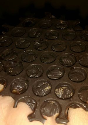 A picture of Chocolate topping.