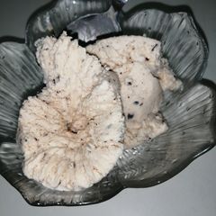 A picture of Chocolate chip ice cream.