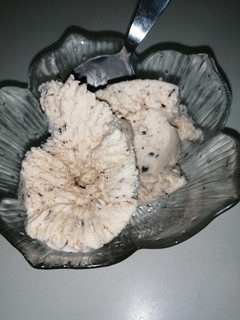 A picture of Chocolate chip ice cream.