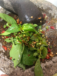 Foto resep Pencok kacang panjang