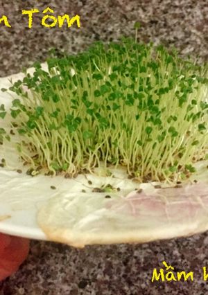 Hình của món Mầm hạt Chia.