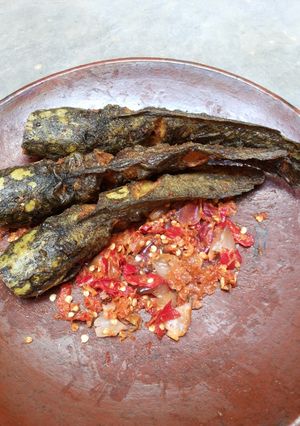 Foto resep Lele goreng kunyit