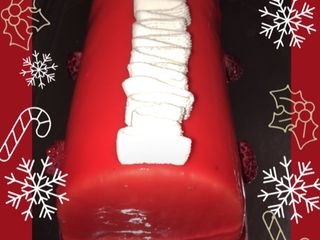 Bûche framboise