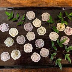 Japanese Uirou Mochi 🌹 A picture of Japanese Uirou Mochi 🌹.