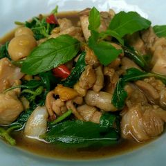 A picture of Stir Fried Chicken with Hot Basil and Chili (Phad Kaphrao Gai).