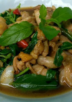 A picture of Stir Fried Chicken with Hot Basil and Chili (Phad Kaphrao Gai).