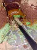 Torta colorin le puse quedó riquísima