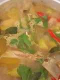 Ikan Palumara