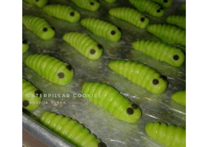 Caterpillar Cookies