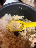 Solid Foundation Rice