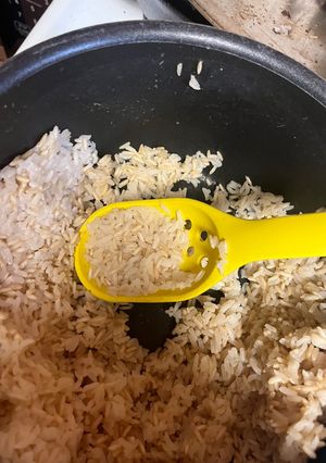 A picture of Solid Foundation Rice.