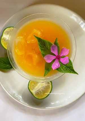 A picture of Orange Basil Spritzer.