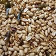Kacang Bawang Rasa Mete