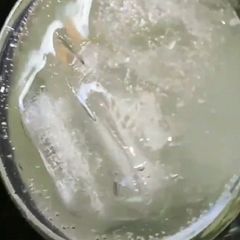 A picture of Homemade Sprite.