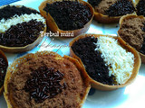 Terang bulan mini