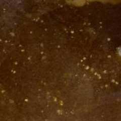 รูปของ Cuko pempek