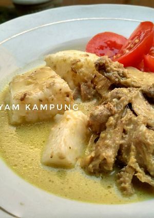 Foto resep Opor Ayam Kampung Spesial