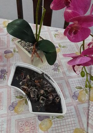 Foto resep Cumi Masak Hitam