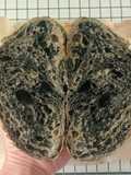 Moringa Charcoal Sourdough Bread