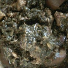 A picture of Afang soup.