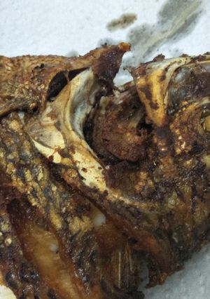 A picture of Fish head.