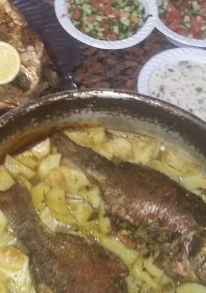صورة لوصفة سمك سريدا مقلي وسمك بلطي مشوي