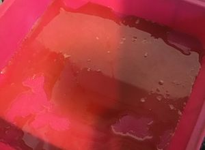 Une photo de Caramel au sucre de canne et citron