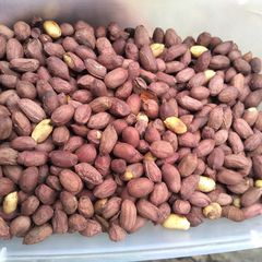 Peanuts A picture of Peanuts.
