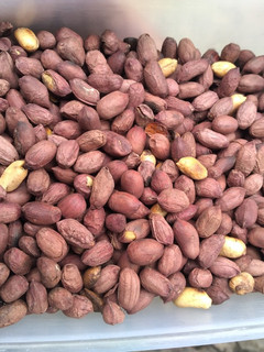 A picture of Peanuts.