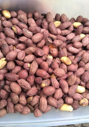 A picture of Peanuts.