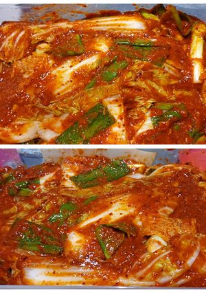 Foto resep Kimchi Homemade