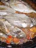 Gammi Bawis
