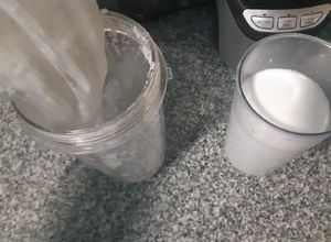 Una foto de Leche de coco