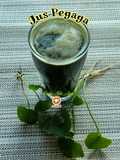 Jus Pegaga