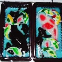 รูปของ Pudding koi