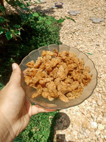 Resep Usus Ayam Krispi Pedas Gurih Ekonomis