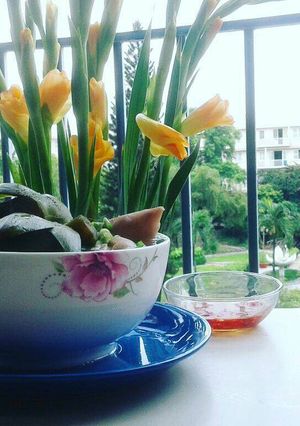 Hình của món Canh chân giò hầm hoa Atiso.