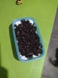 Arroz con leche y galleta oreo