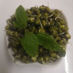 A picture of Mint Moong bean sprouts Salad.
