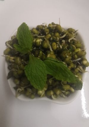 A picture of Mint Moong bean sprouts Salad.