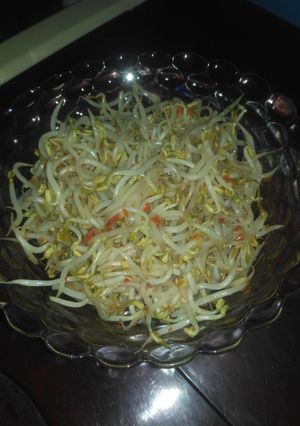 Foto resep Tumis Tauge sederhana