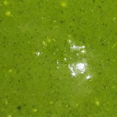 A picture of Curd chutney recipe.