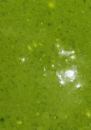 A picture of Curd chutney recipe.