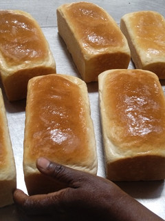 A picture of My best ever bread.