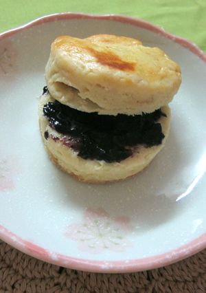 A picture of English Scones.